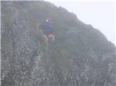 Humpty dumpty sat on a wall...
