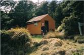 Aranga hut (private)