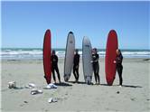 Surfie chicks in Christchurch