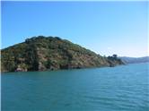 View of Somes Island