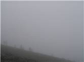 Figures in the Mist