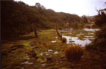 Tarn on Cone