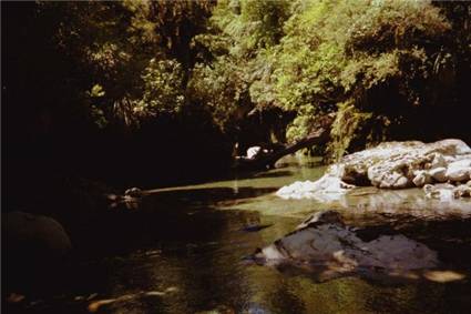Pool in the Park River