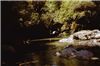 Pool in the Park River