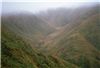 Upper Park River from near Butchers knob