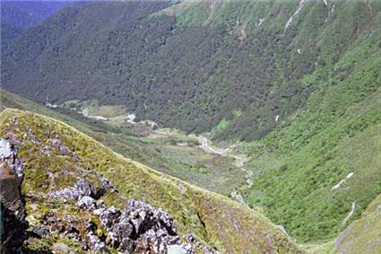 Upper Waiohine River from top of Pinnacle spur