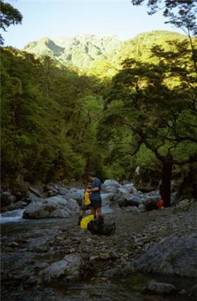 Waingawa river between Arete Forks and Cow Creek