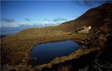 Maungahuka