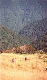 McGregor Spur (Tararuas) - Eric Duggan