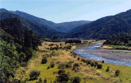 Totara Flats