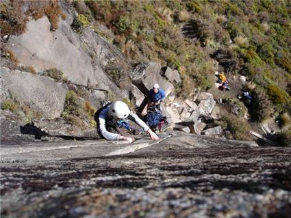 Ollie climbing