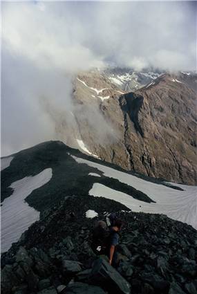 Shoulder of Harman