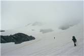 Sidling the Campbell Range