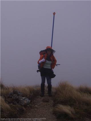 Where is she going with that pole?